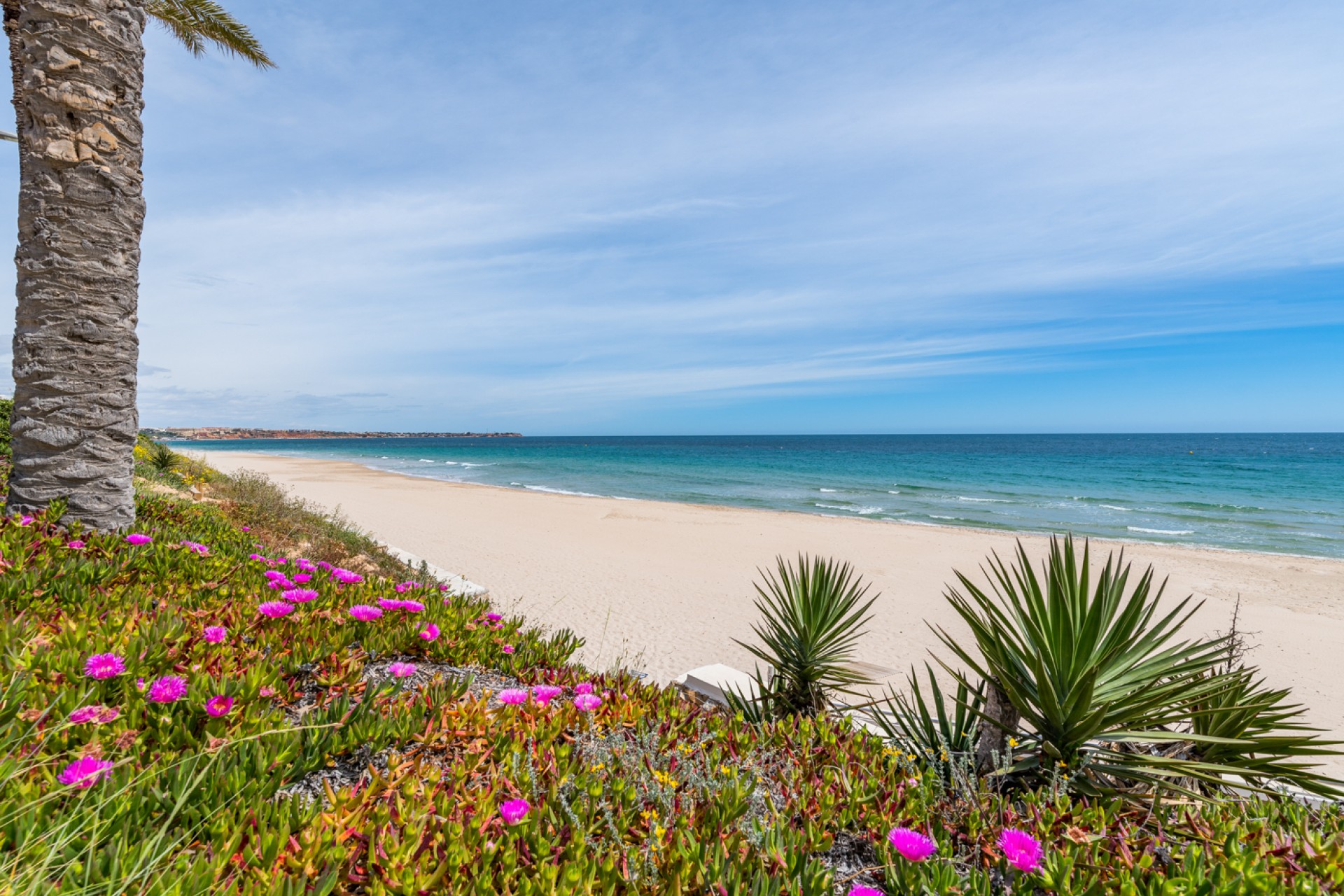 Venta - Piso - Orihuela costa - Mil Palmeras