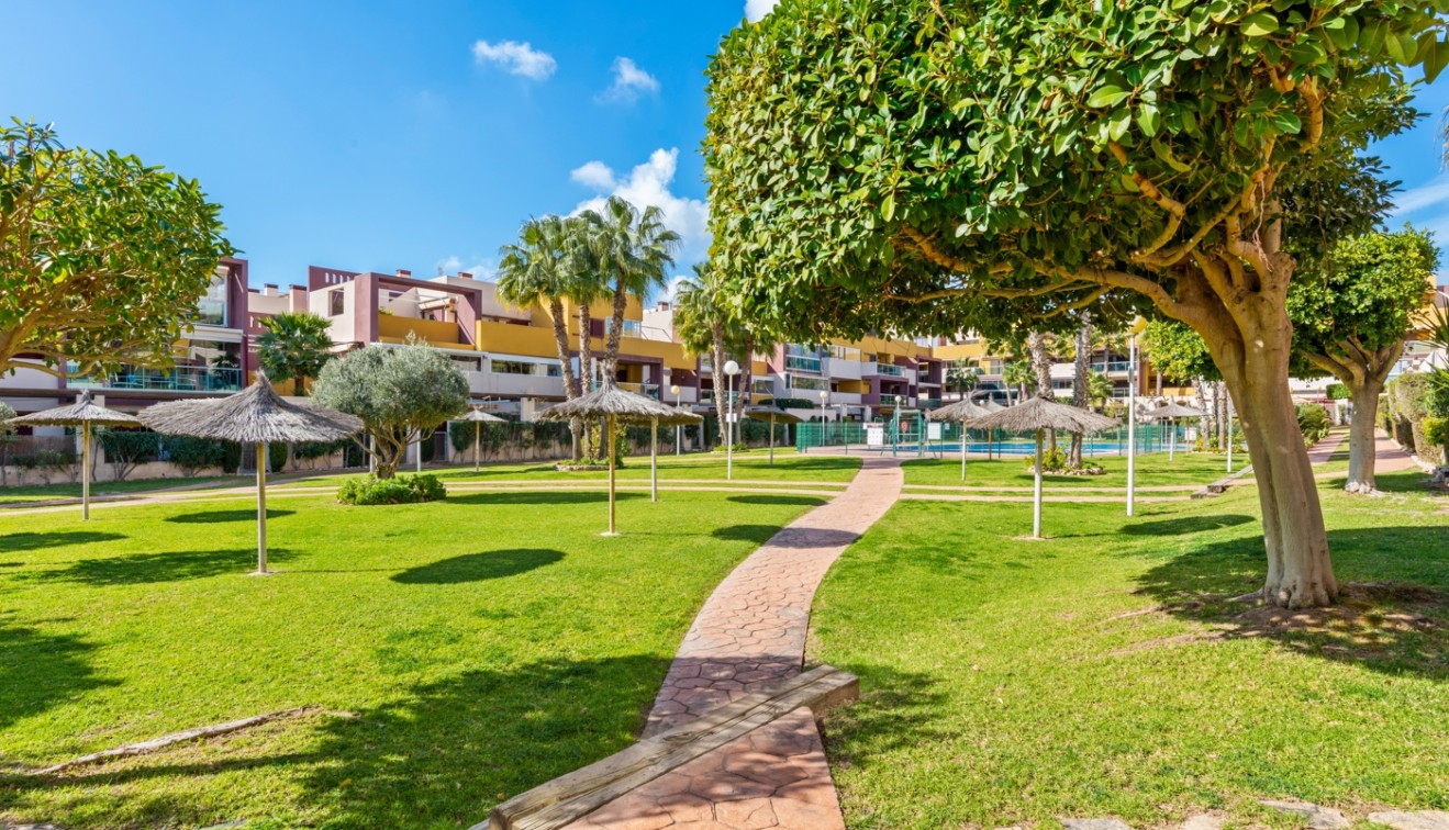 Venta - Piso - Orihuela costa - Orihuela Costa