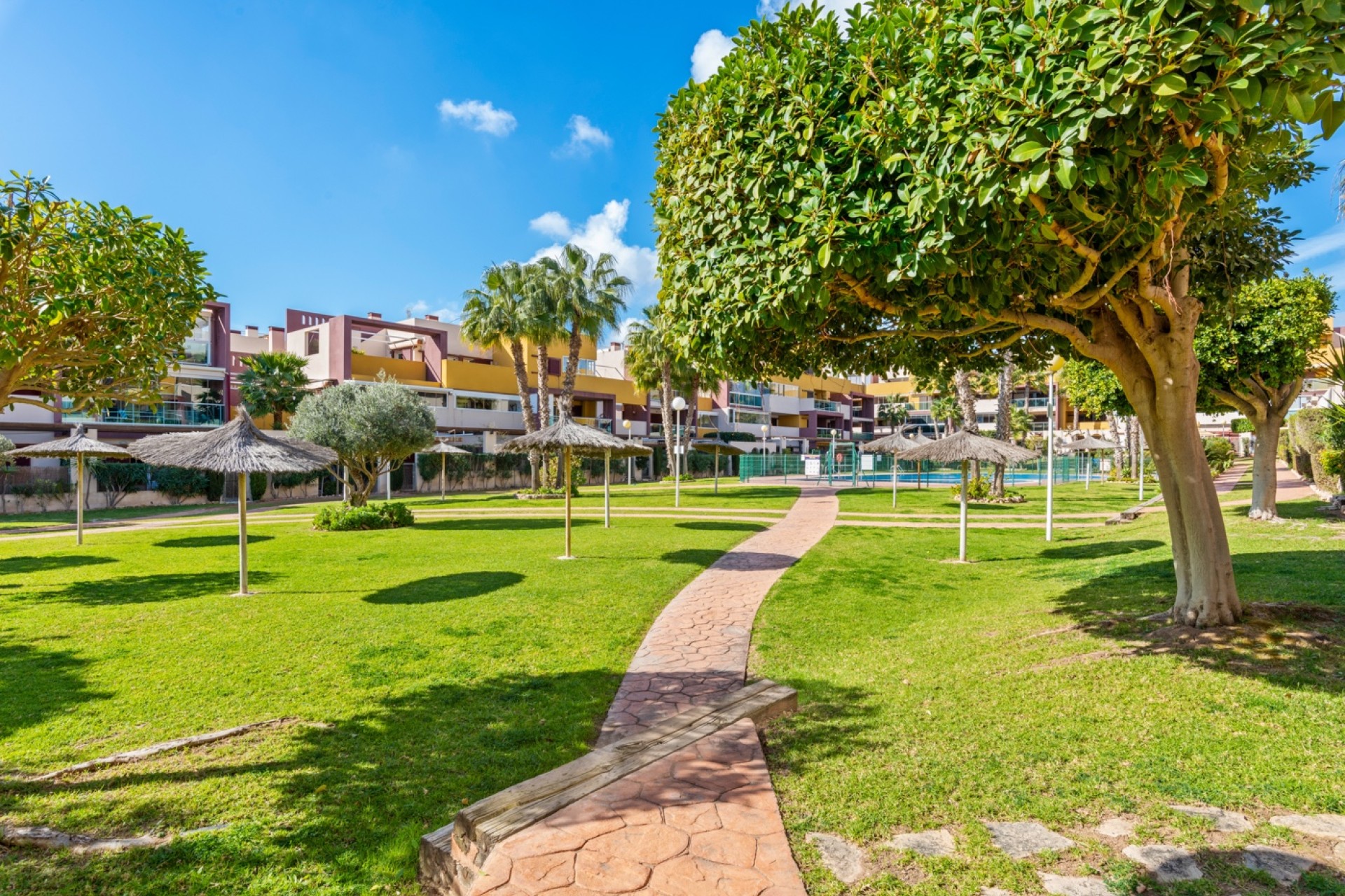 Venta - Piso - Orihuela costa - Orihuela Costa