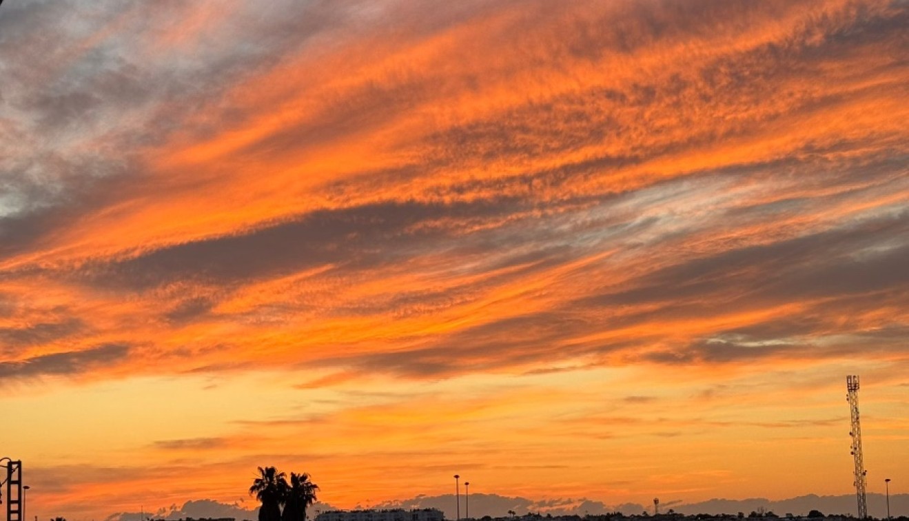 Venta - Piso - Torrevieja