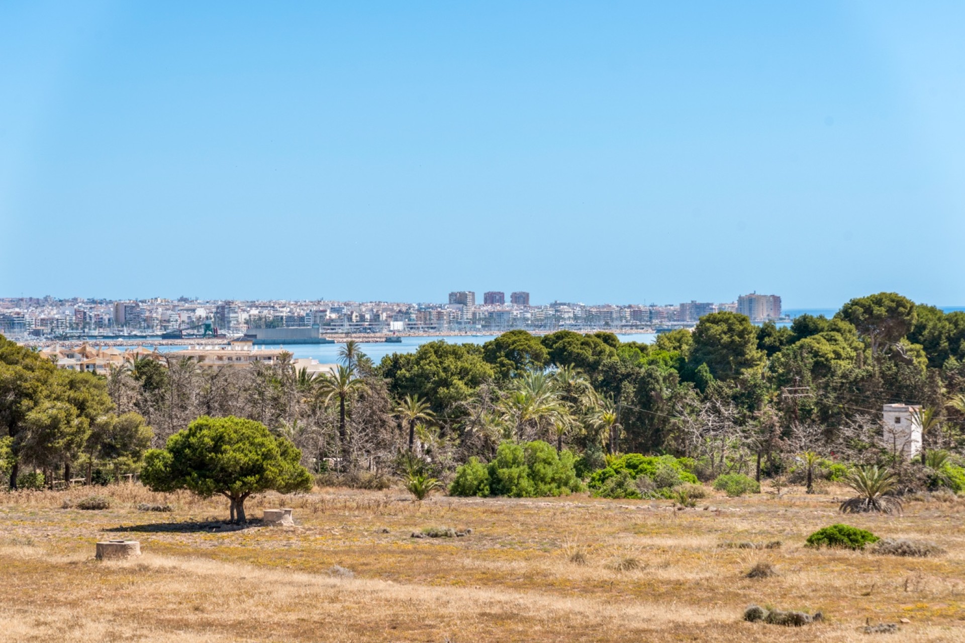 Venta - Piso - Torrevieja