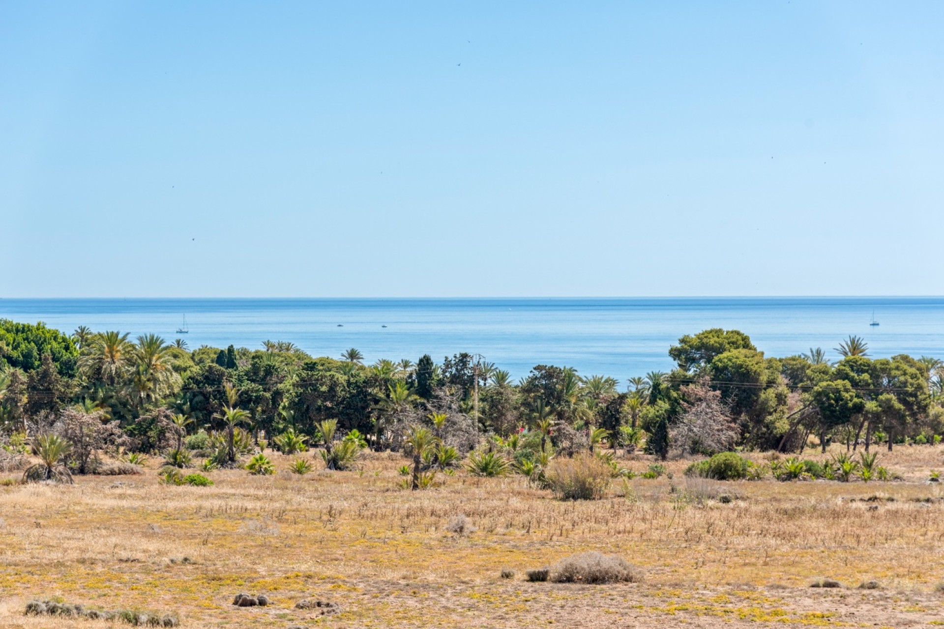 Venta - Piso - Torrevieja