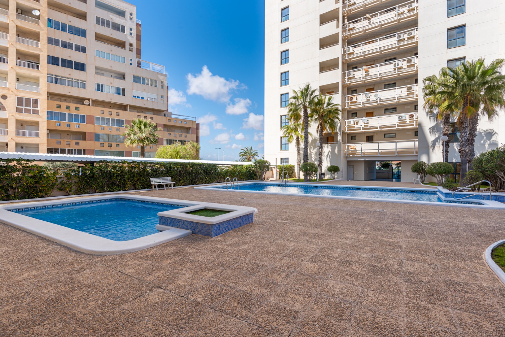 Venta - Piso - Torrevieja