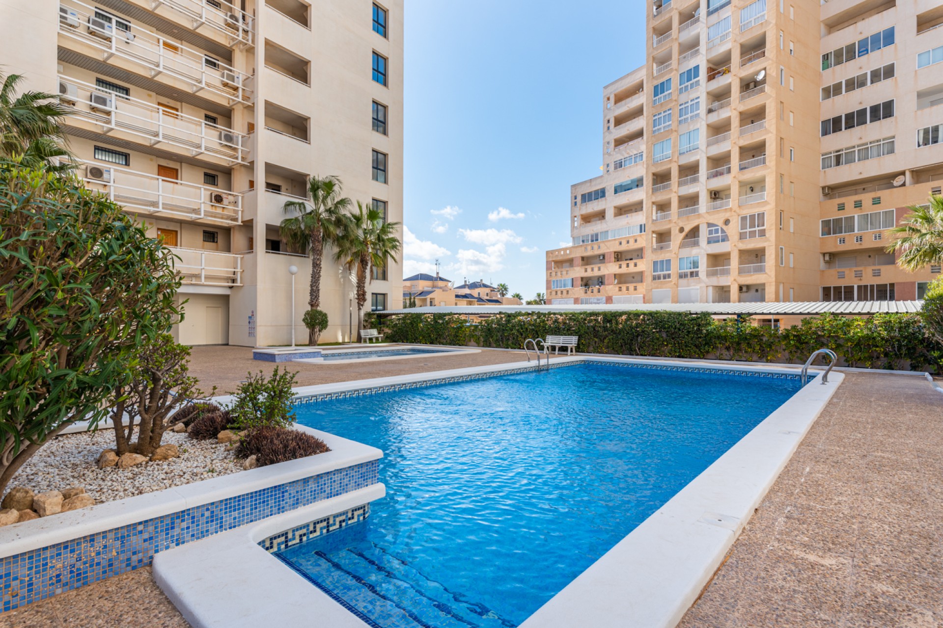 Venta - Piso - Torrevieja