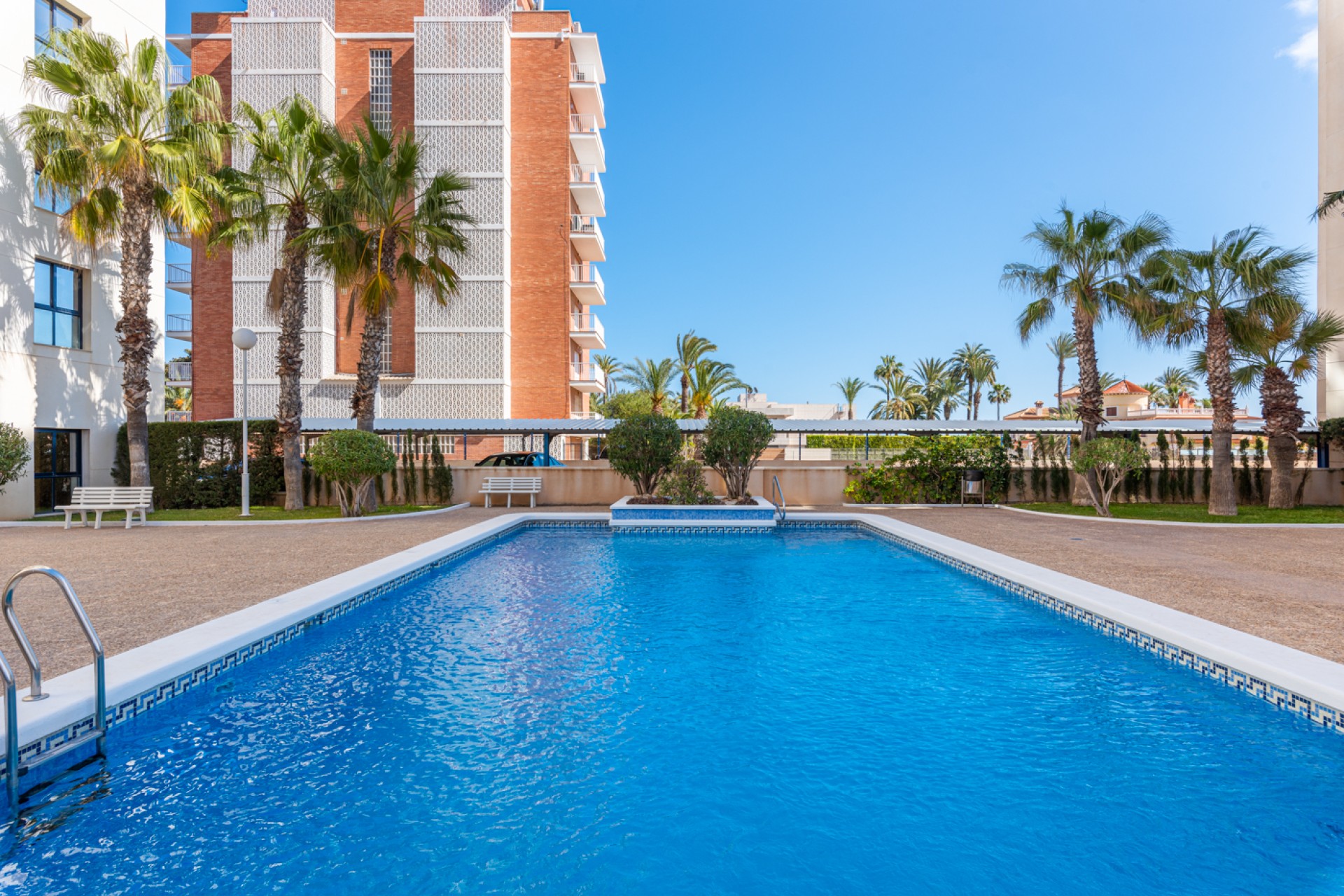 Venta - Piso - Torrevieja