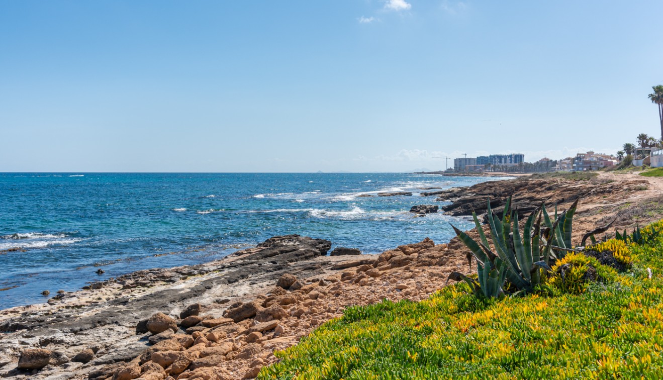 Venta - Piso - Torrevieja