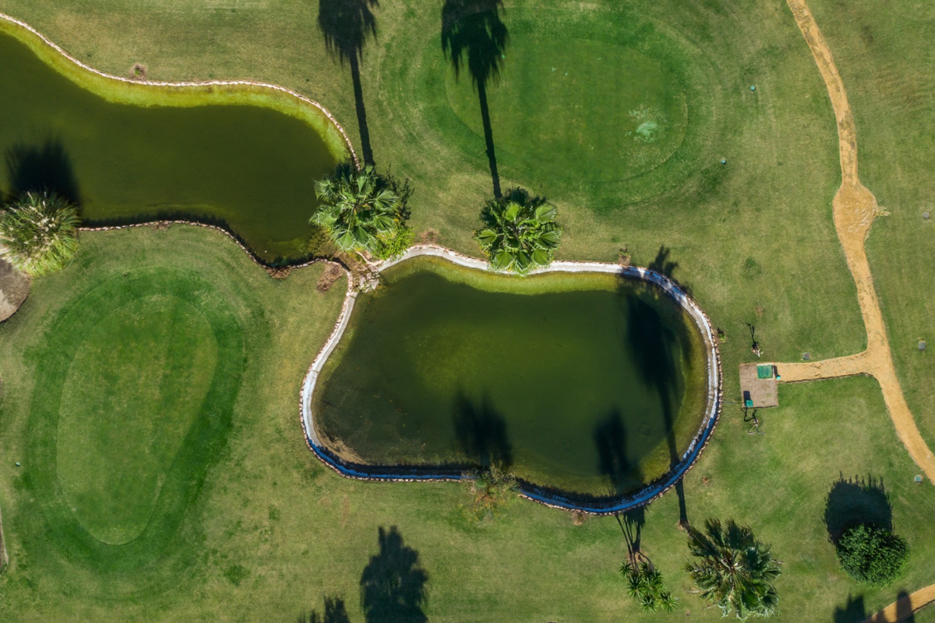 Venta - Piso - Torrevieja