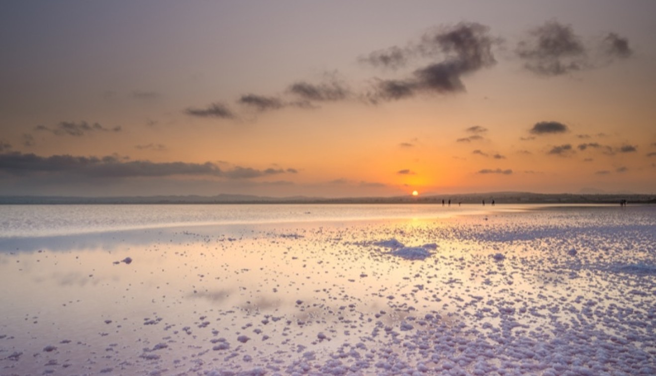 Venta - Piso - Torrevieja