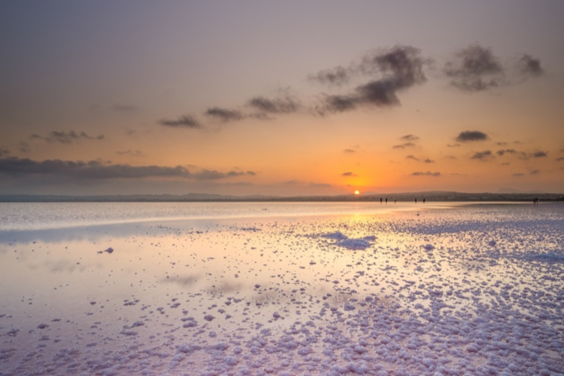 Venta - Piso - Torrevieja