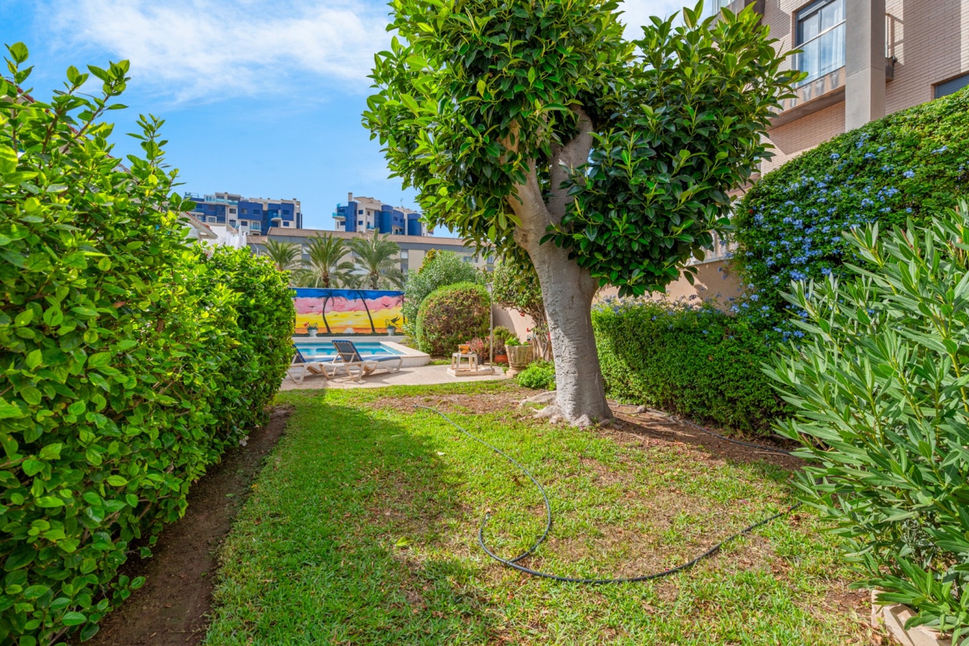 Venta - Semi-adosado  - Orihuela costa - Punta Prima