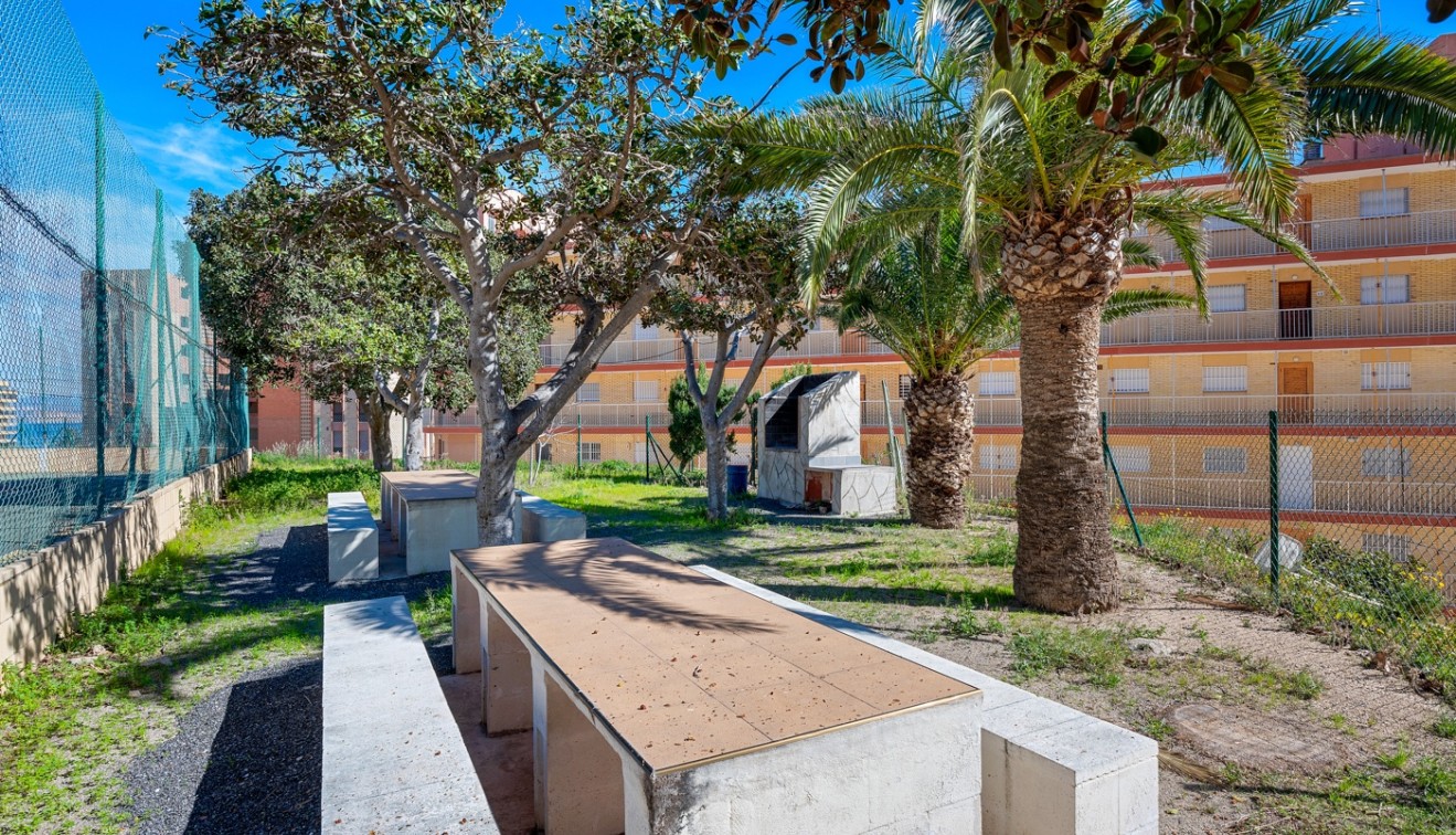 Vente - Apartment - Arenales del Sol - Segunda linea playa