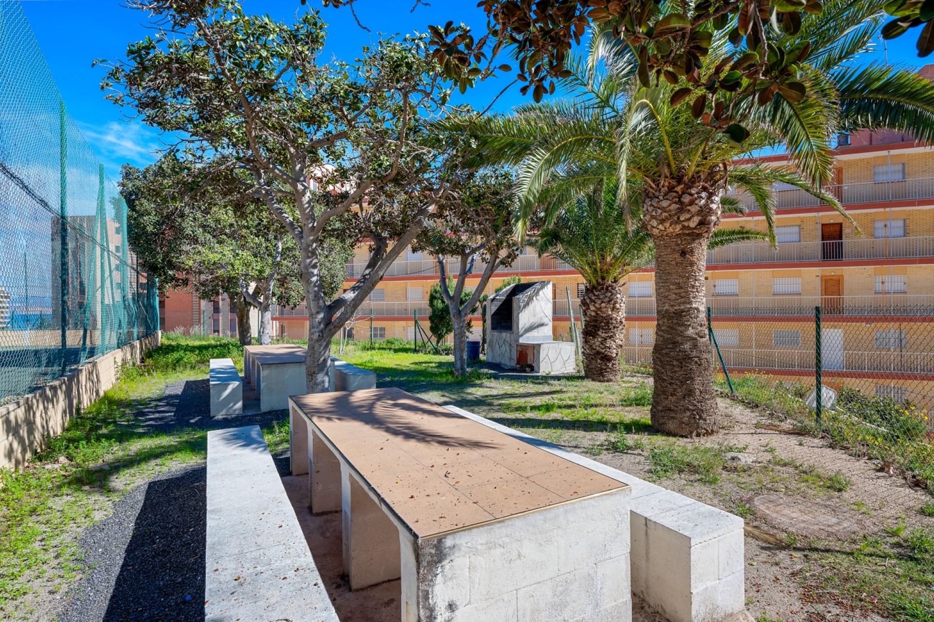 Vente - Apartment - Arenales del Sol - Segunda linea playa