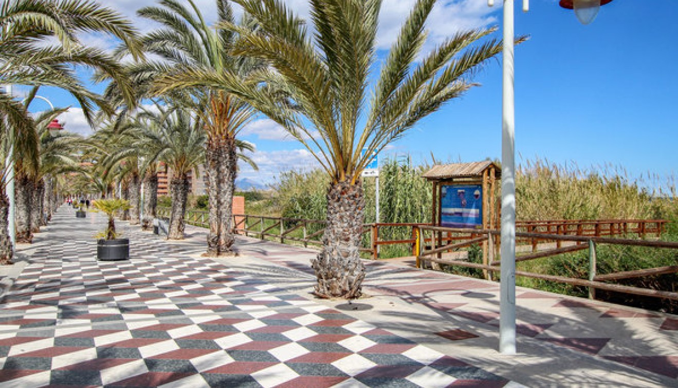 Vente - Apartment - Arenales del Sol