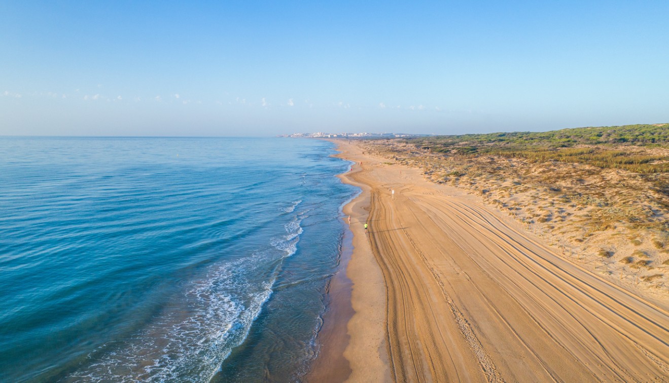 Vente - Apartment - El Raso