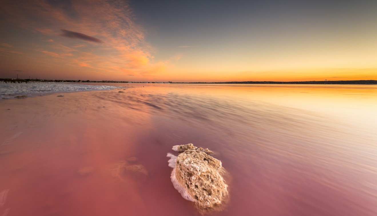 Vente - Apartment - El Raso