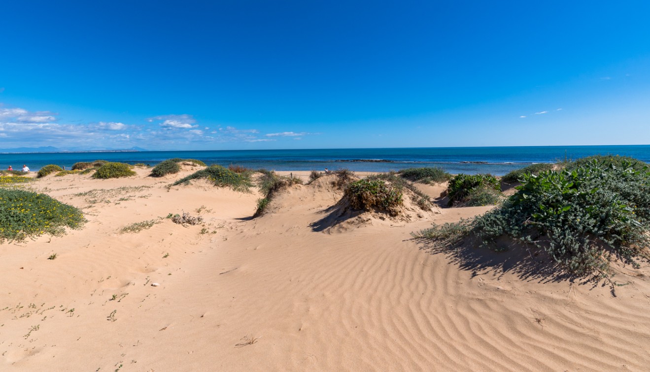 Vente - Apartment - El Raso