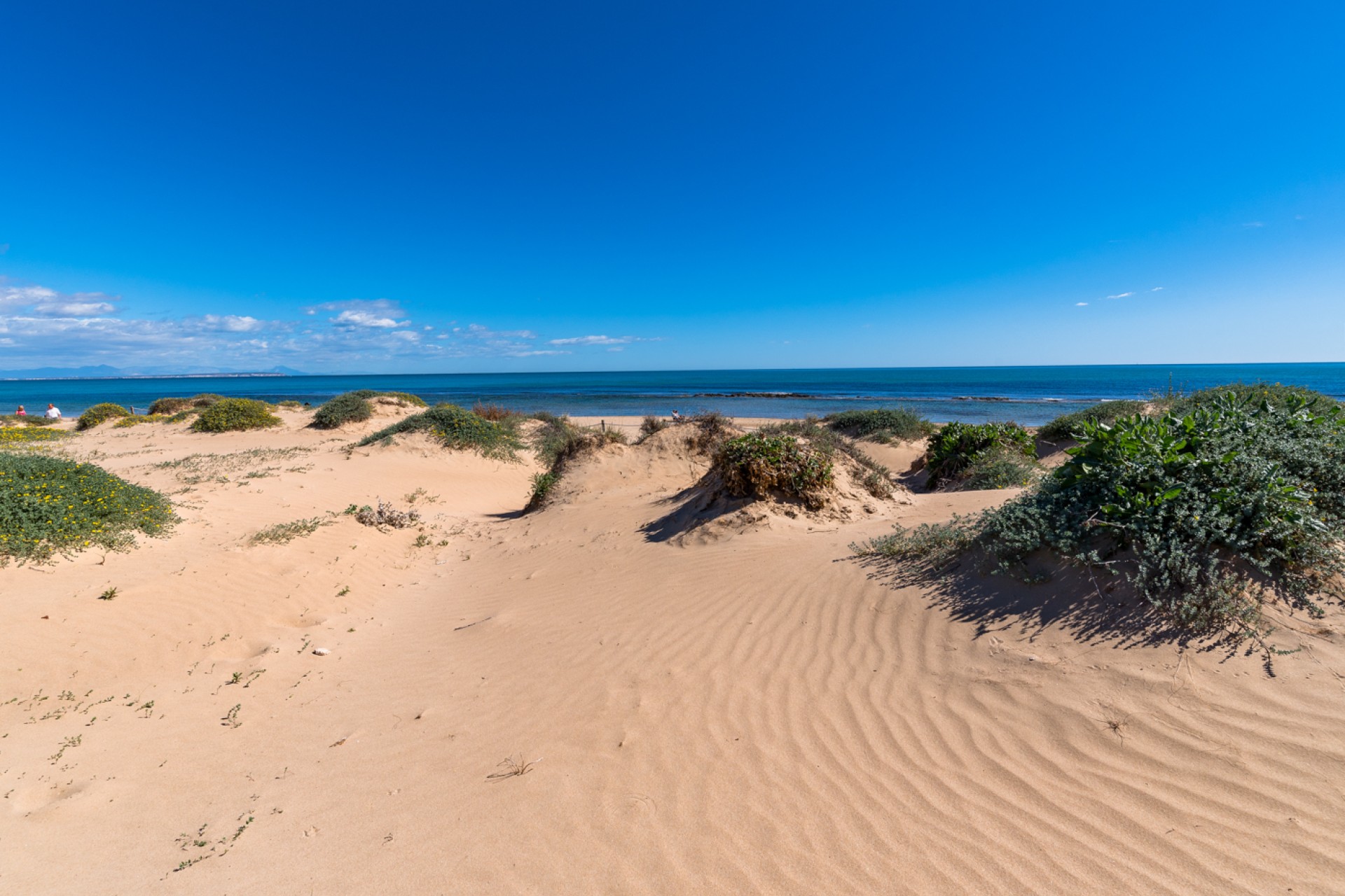 Vente - Apartment - El Raso