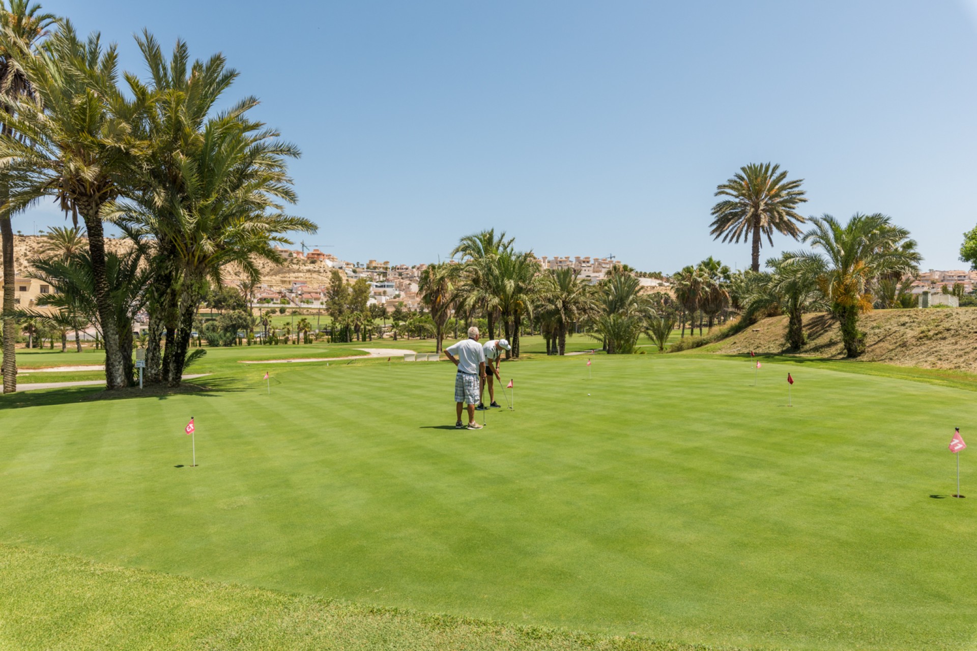 Vente - Apartment - El Raso