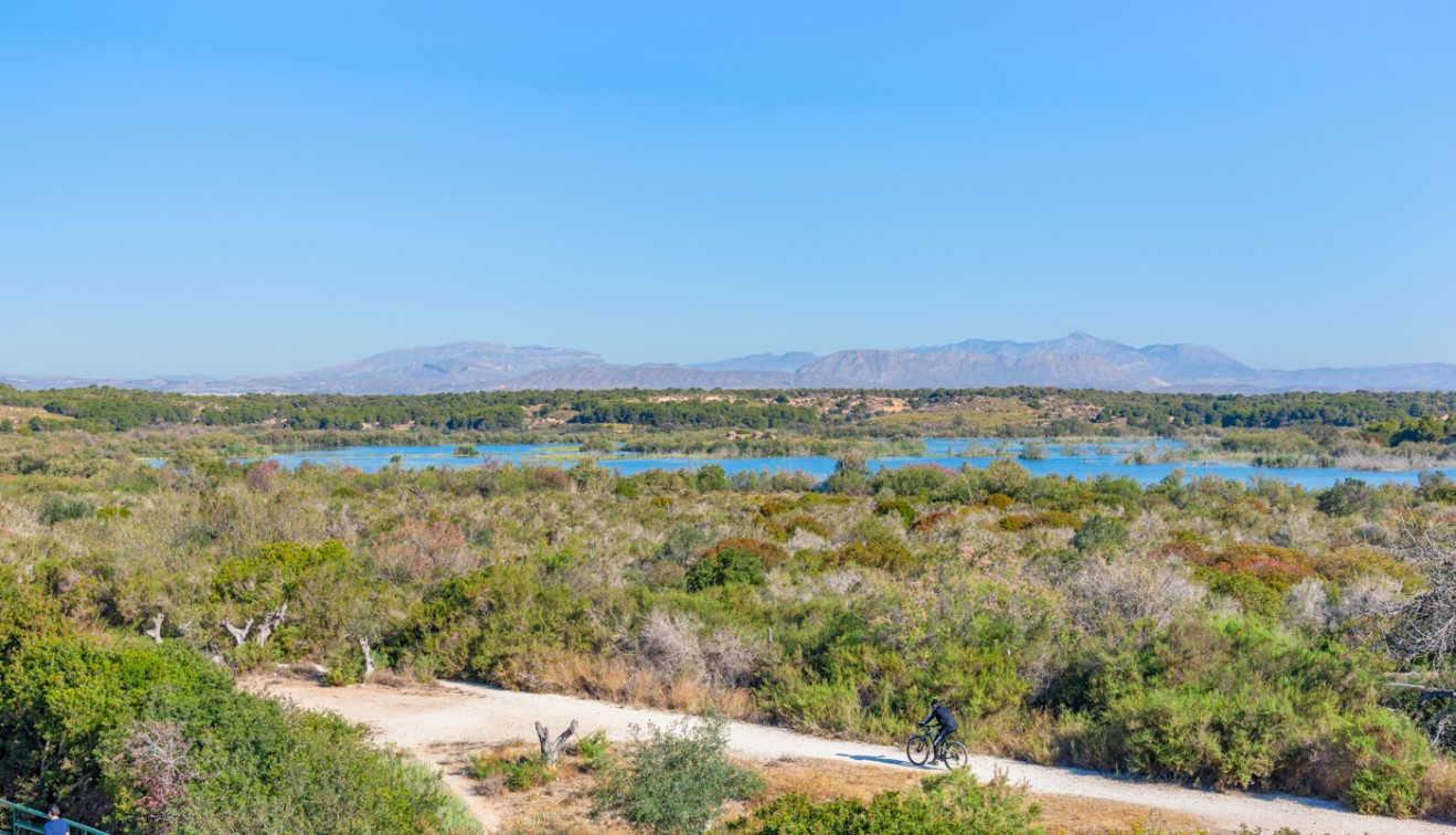 Vente - Apartment - Gran Alacant