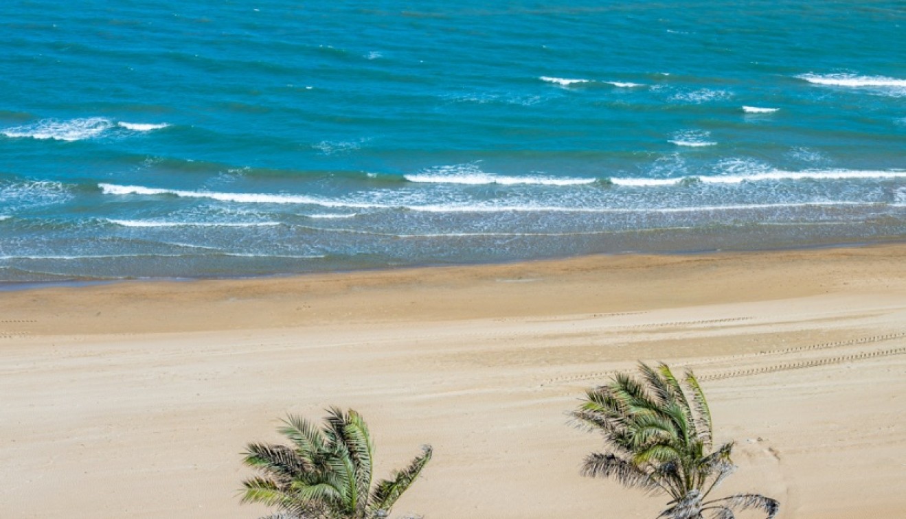 Vente - Apartment - Guardamar del Segura - Guardamar