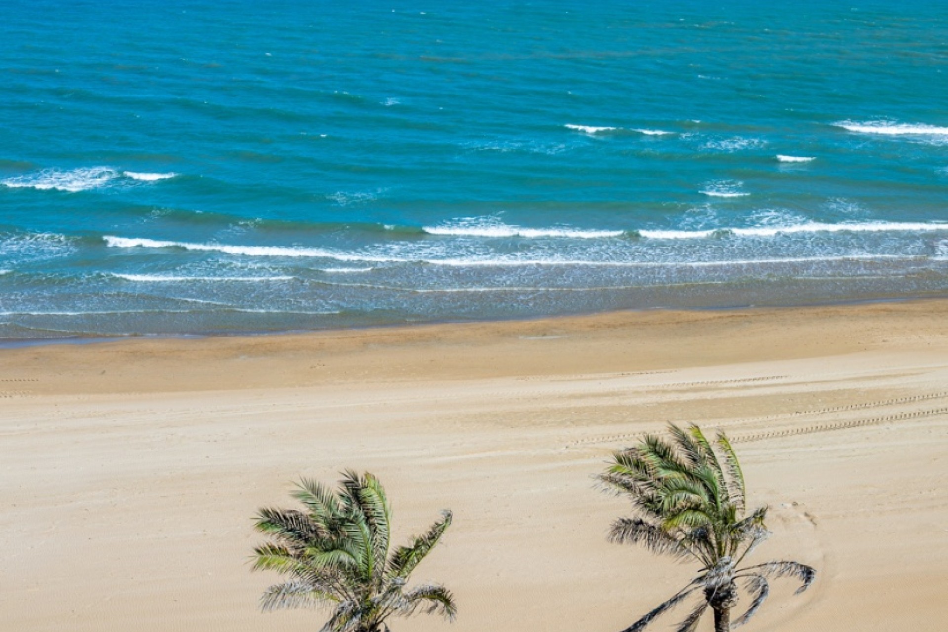 Vente - Apartment - Guardamar del Segura - Guardamar