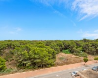 Vente - Apartment - Guardamar del Segura