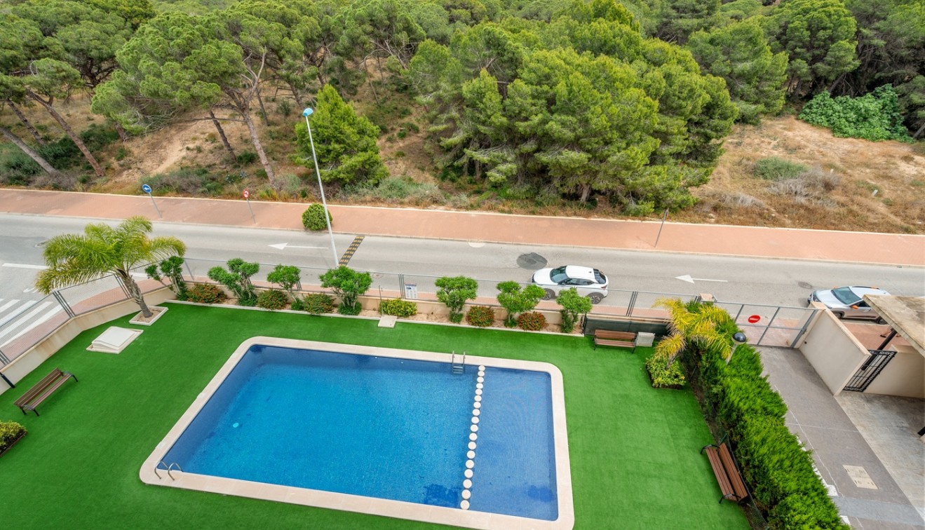 Vente - Apartment - Guardamar del Segura