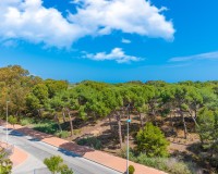 Vente - Apartment - Guardamar del Segura