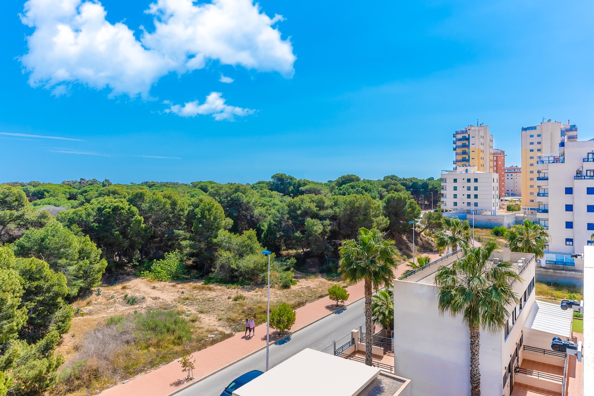 Vente - Apartment - Guardamar del Segura