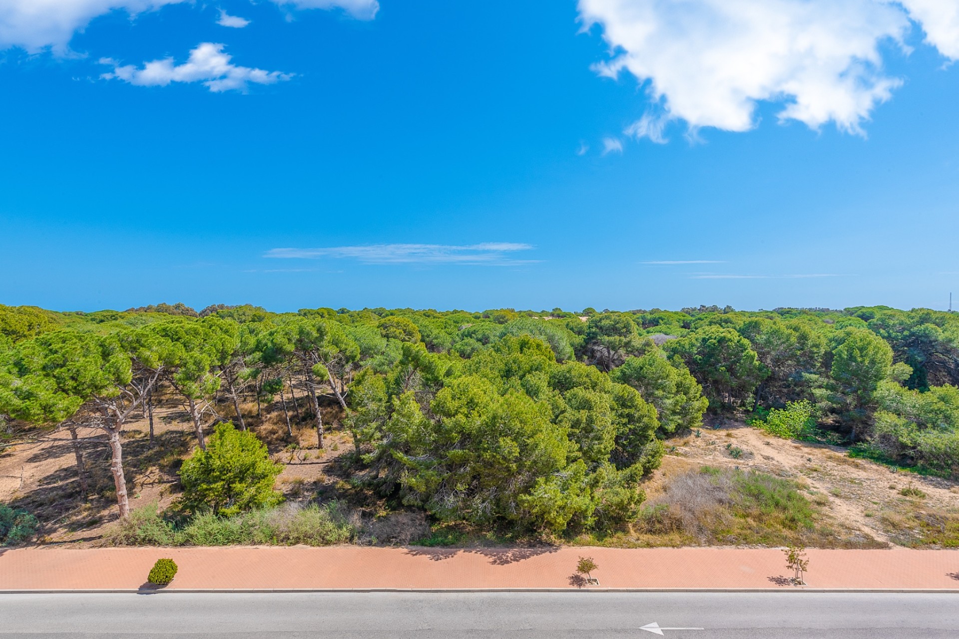 Vente - Apartment - Guardamar del Segura