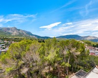 Vente - Apartment - La Nucia - La nucia