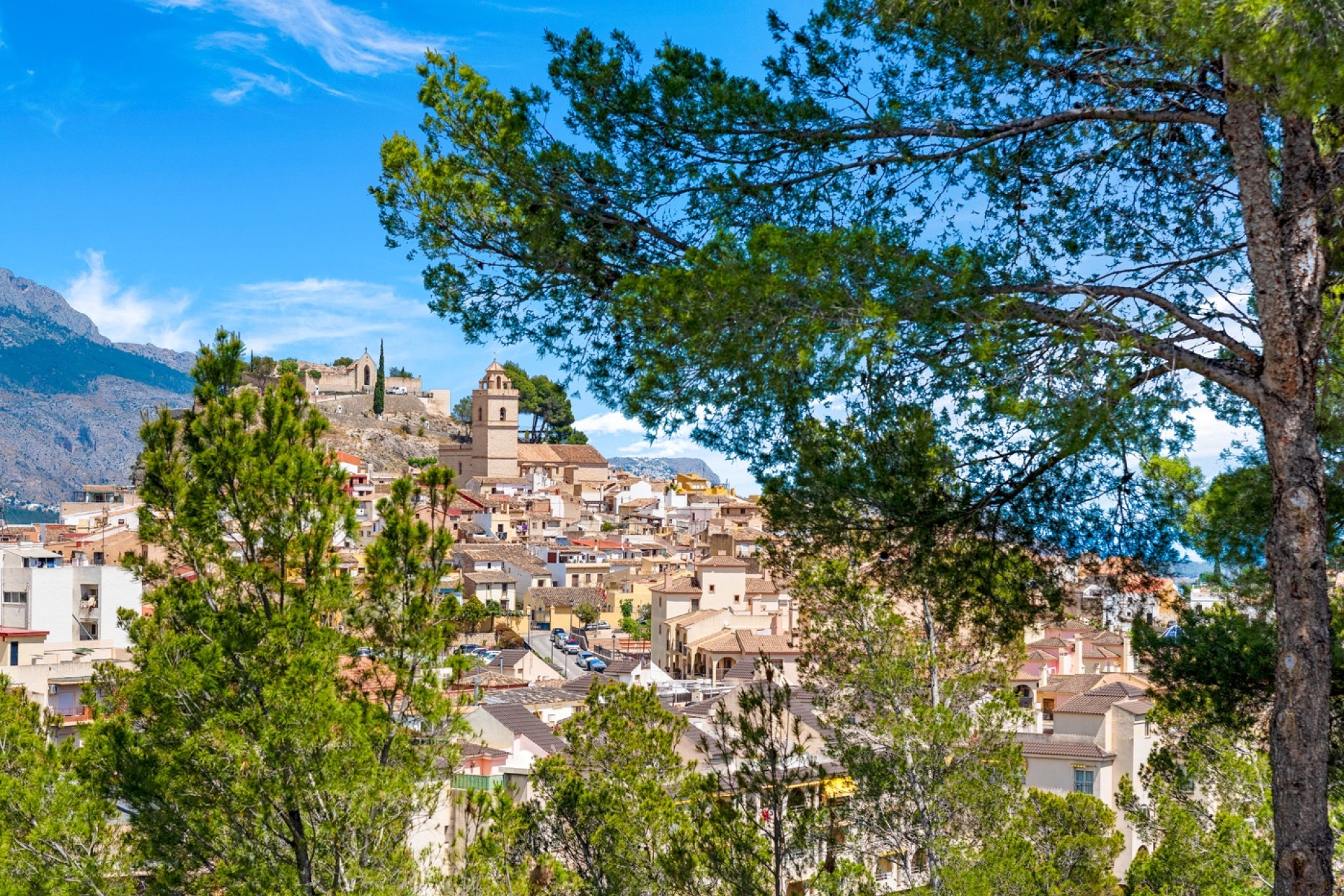 Vente - Apartment - La Nucia - La nucia