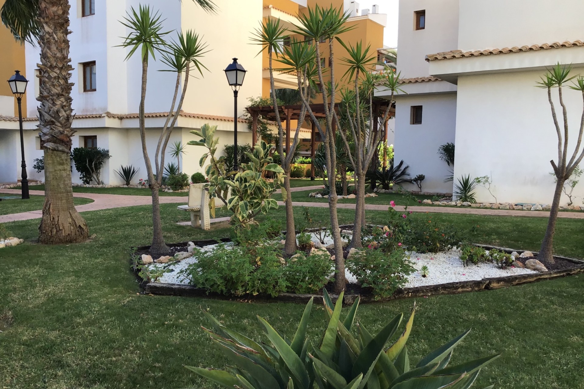 Vente - Apartment - Punta Prima
