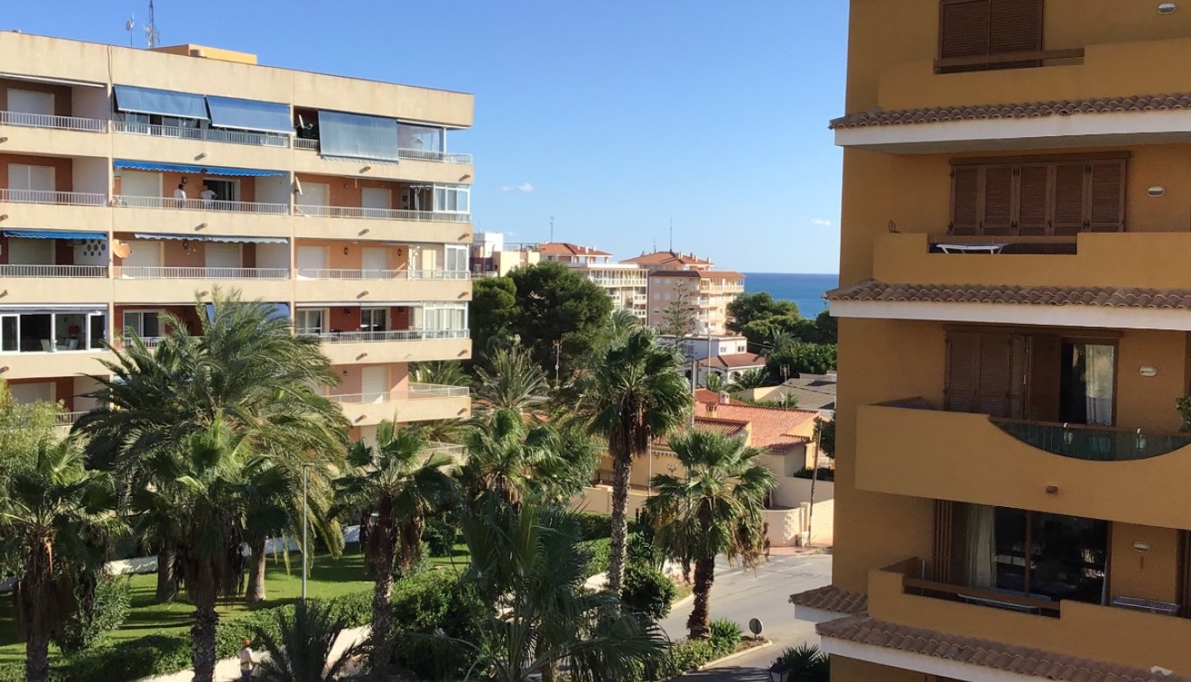 Vente - Apartment - Punta Prima