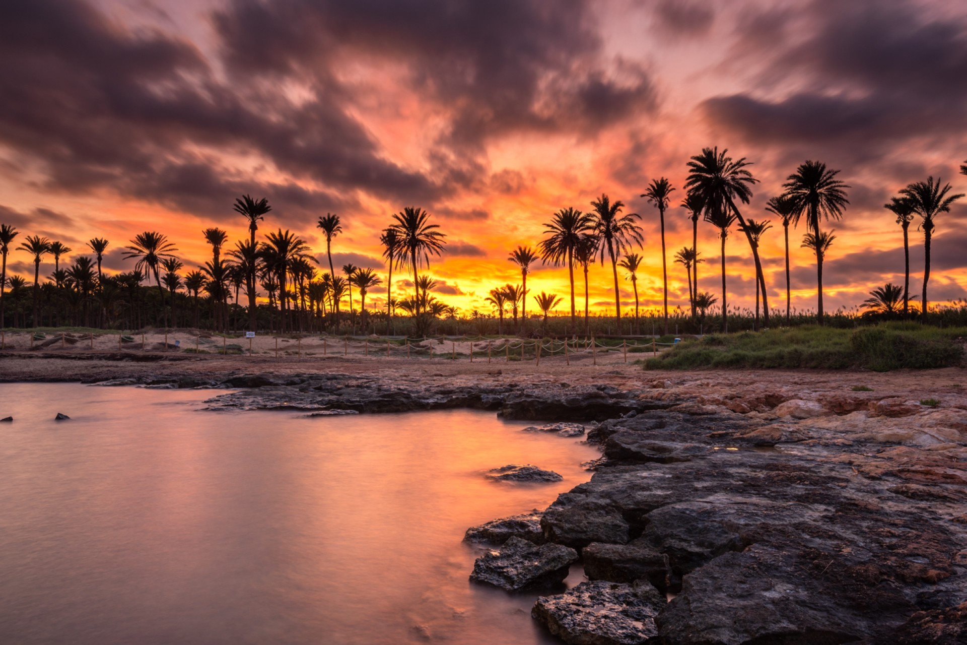 Vente - Apartment - Punta Prima