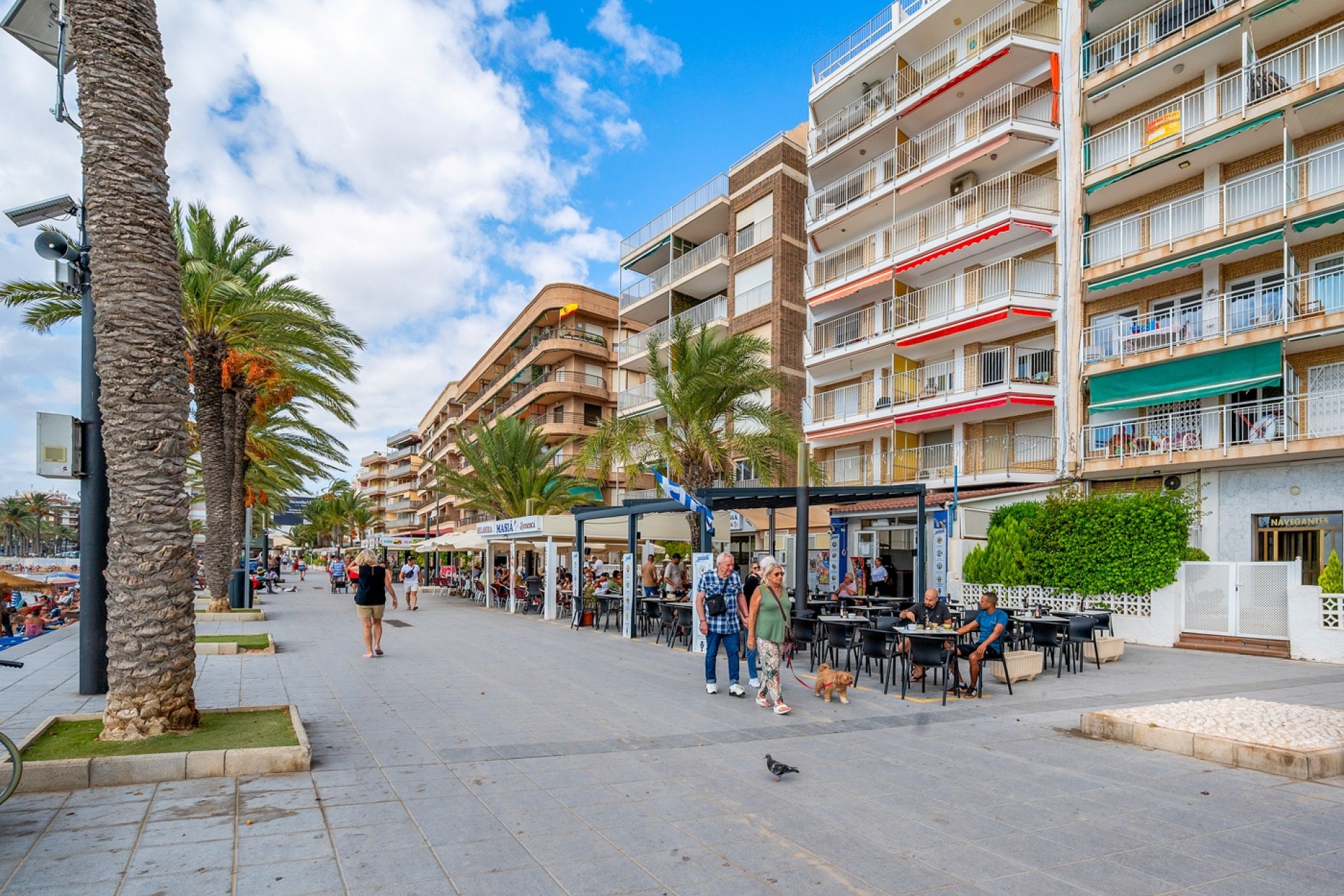 Vente - Apartment - Torrevieja