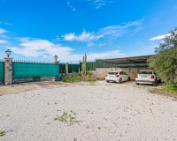 Vente - Chalet - Elche/Elx