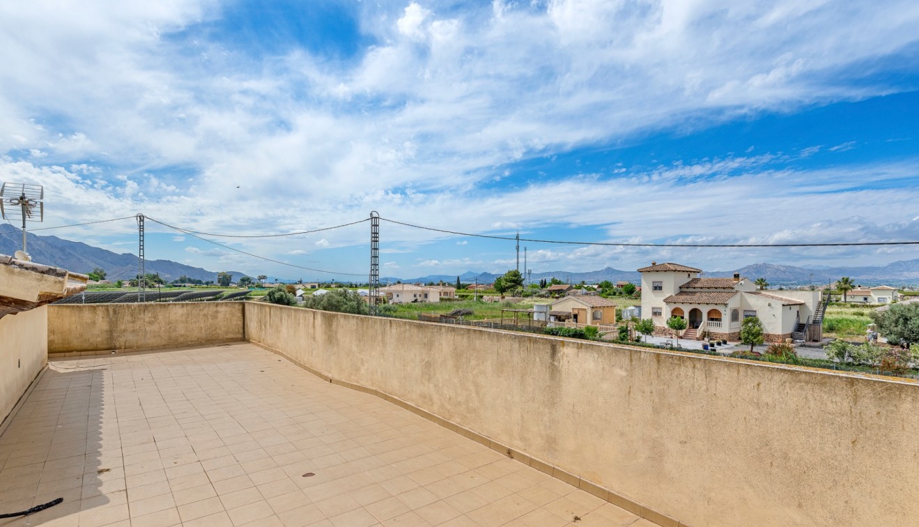 Vente - Country estate - Callosa del Segura - Callosa De Segura