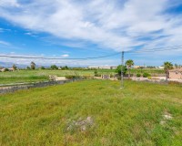 Vente - Country estate - Callosa del Segura - Callosa De Segura