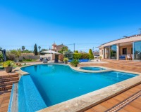 Vente - Country estate - Crevillente