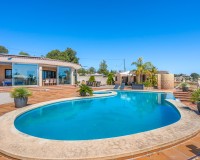 Vente - Country estate - Crevillente