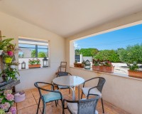 Vente - Country estate - Elche/Elx