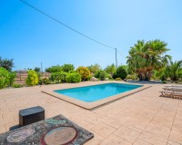 Vente - Country estate - Elche/Elx