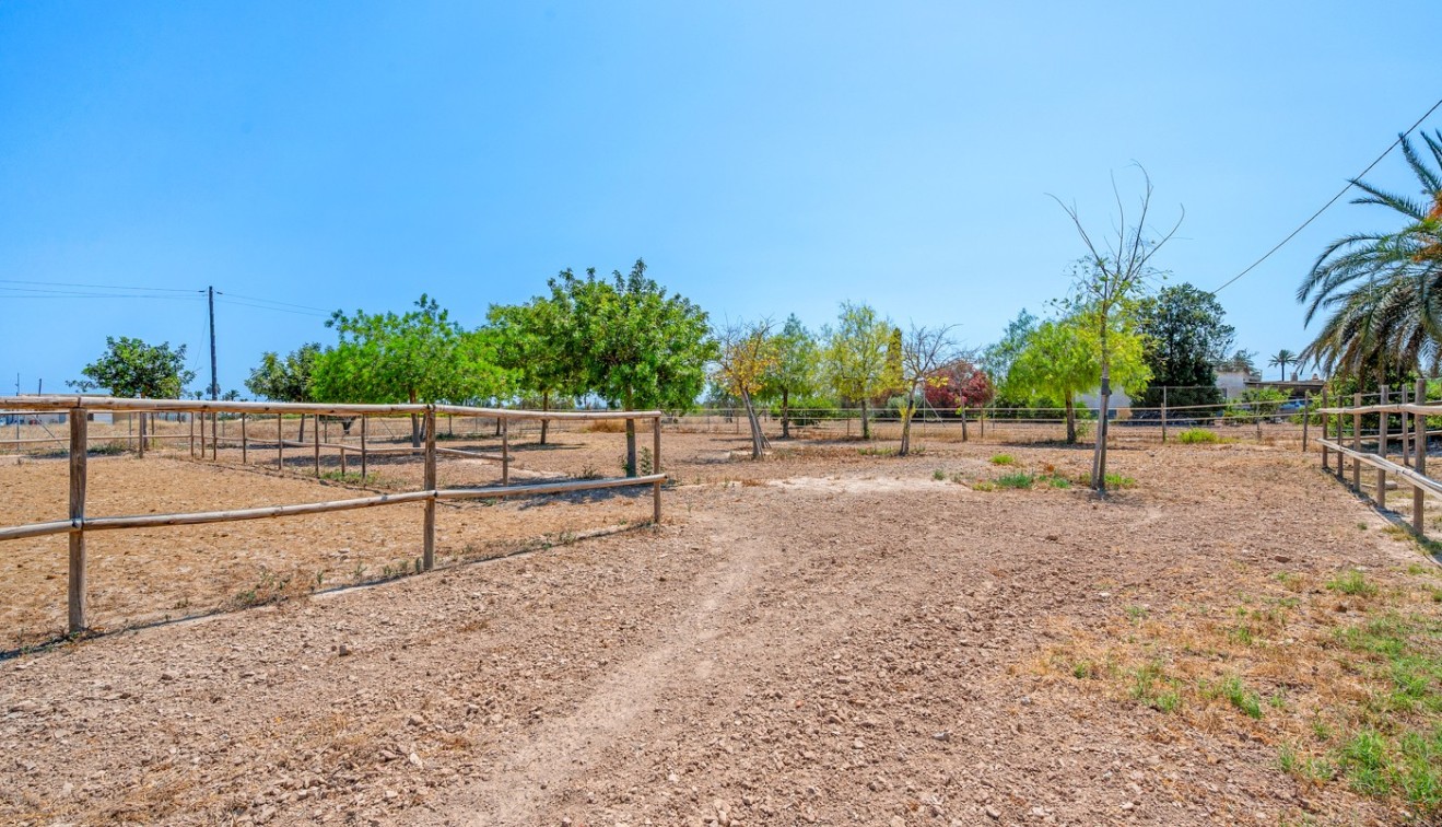 Vente - Country estate - Elche/Elx
