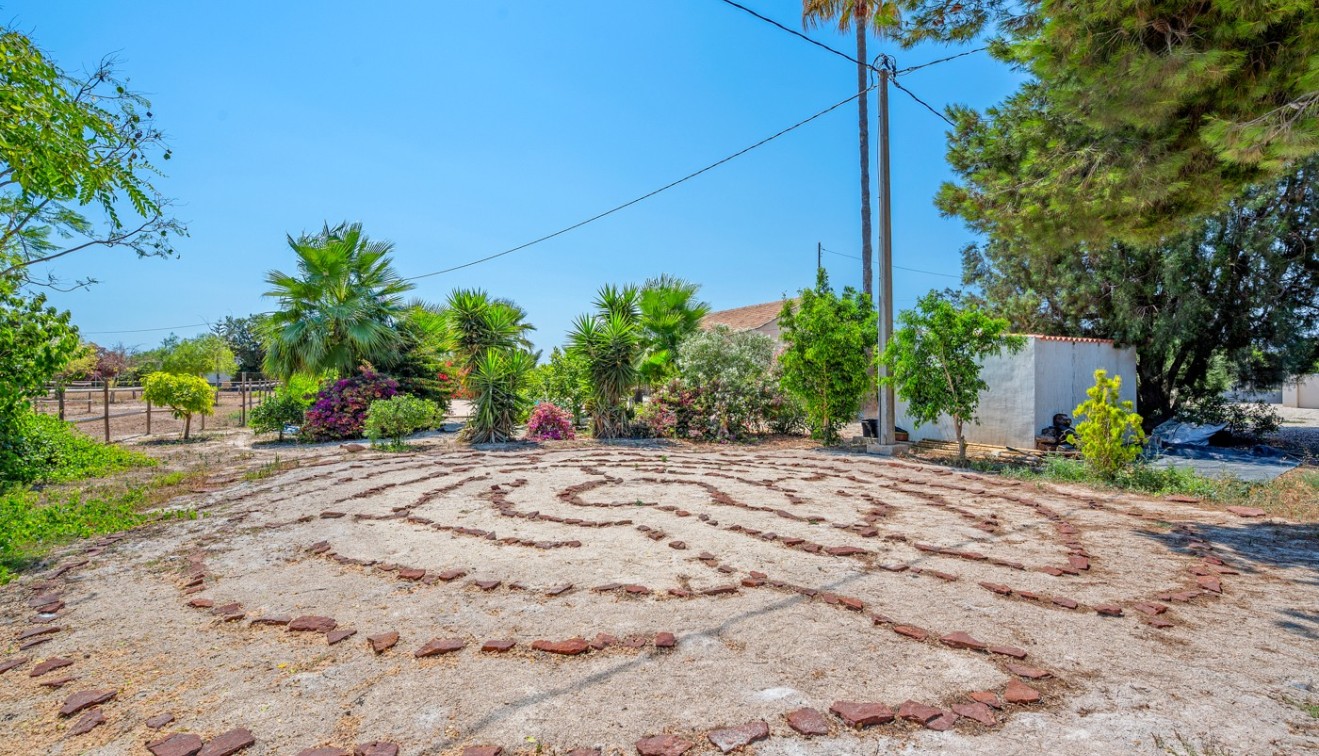 Vente - Country estate - Elche/Elx