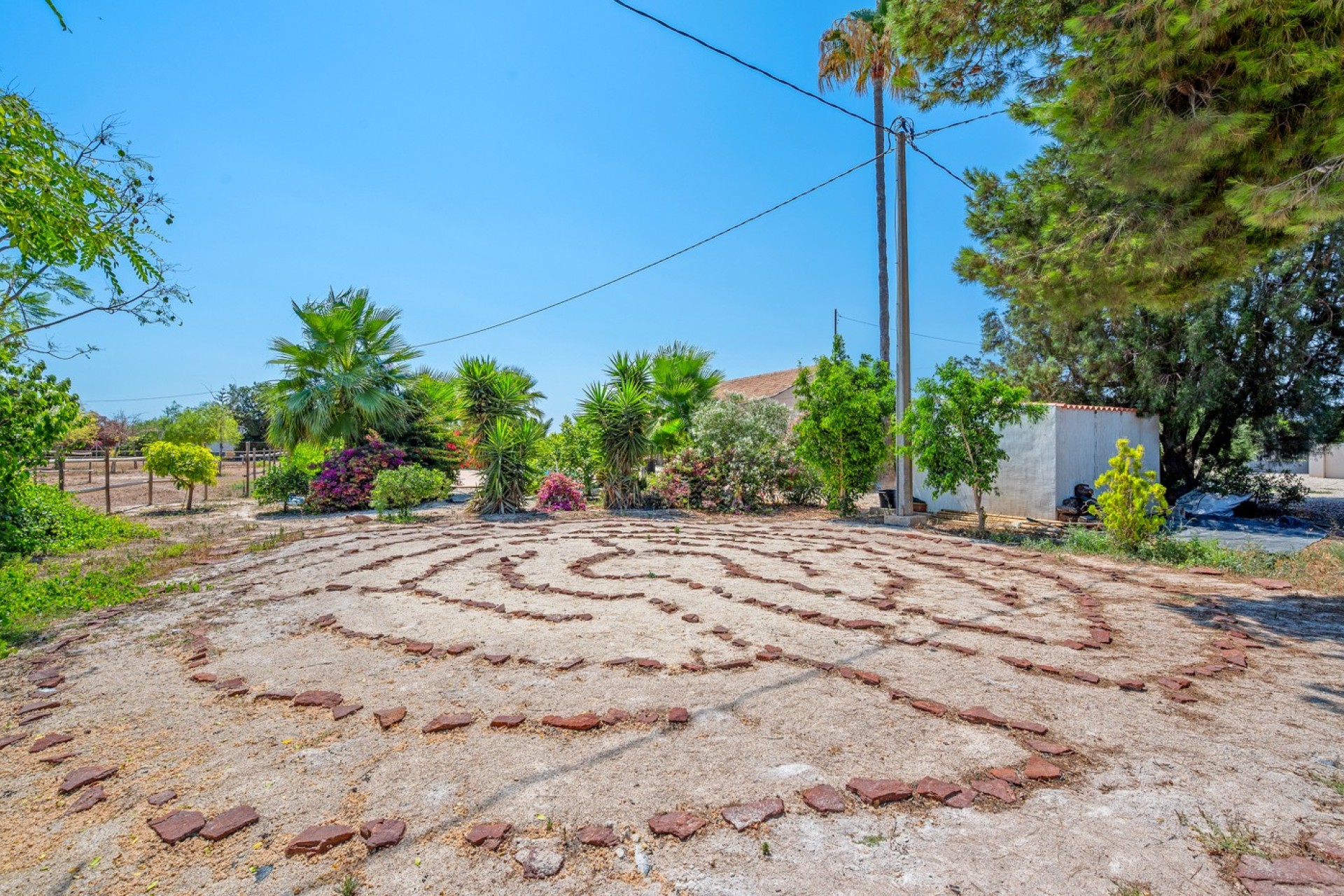 Vente - Country estate - Elche/Elx