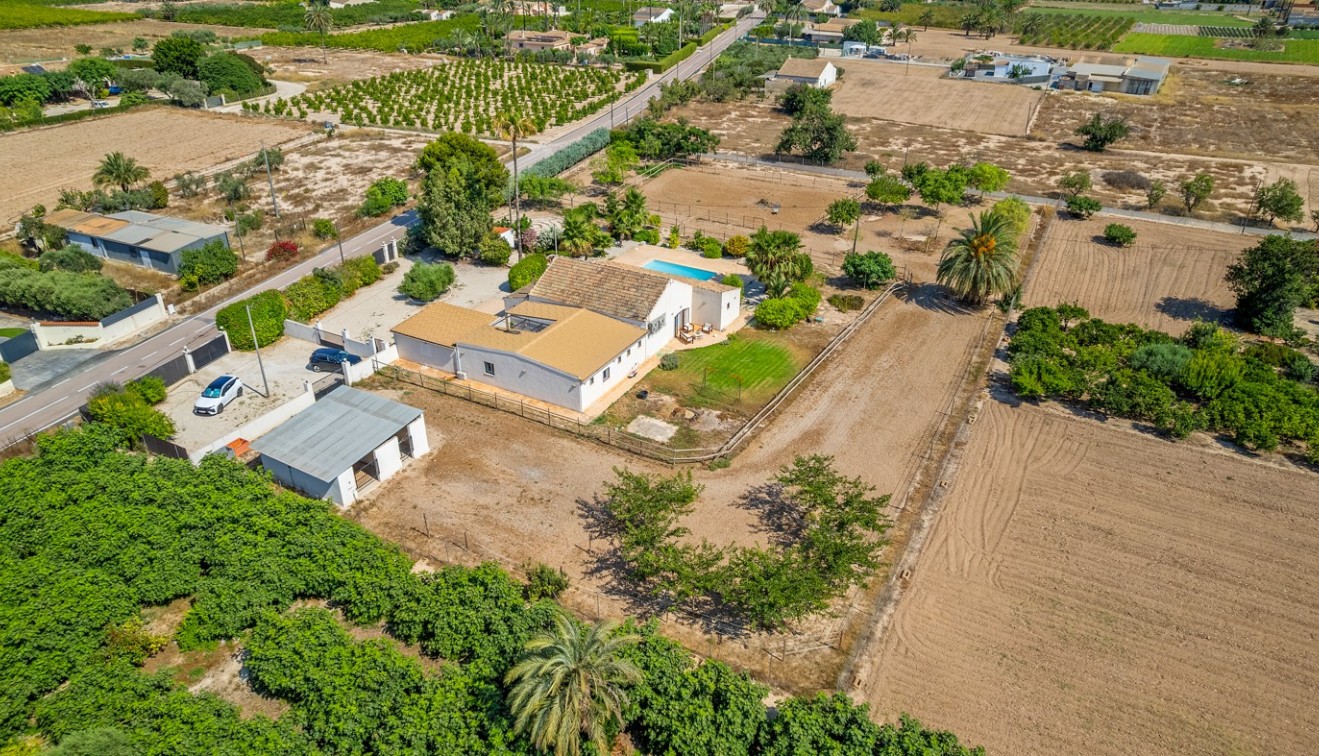 Vente - Country estate - Elche/Elx