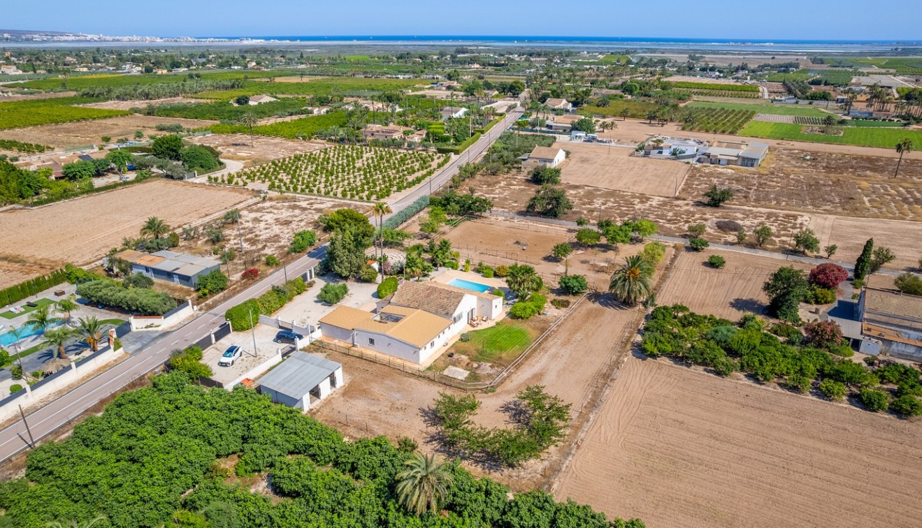Vente - Country estate - Elche/Elx