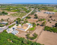 Vente - Country estate - Elche/Elx