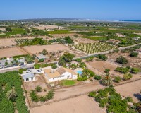Vente - Country estate - Elche/Elx